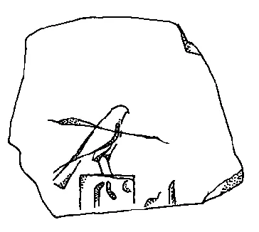 Darstellung: „Vogel“